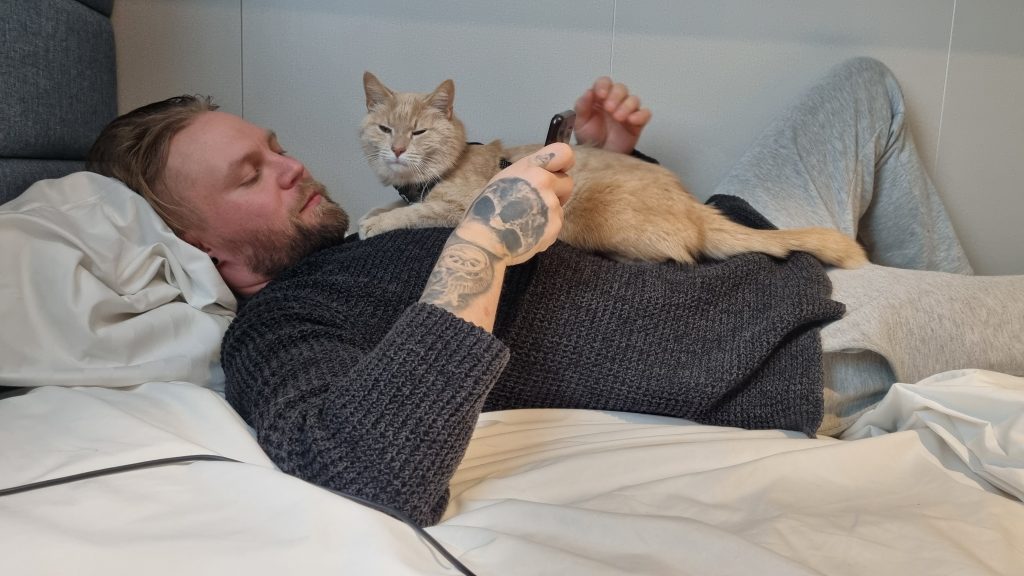 Kissan kanssa ruotsinlaivassa