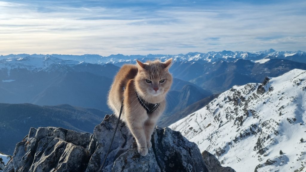 Pic De L’Escalette
