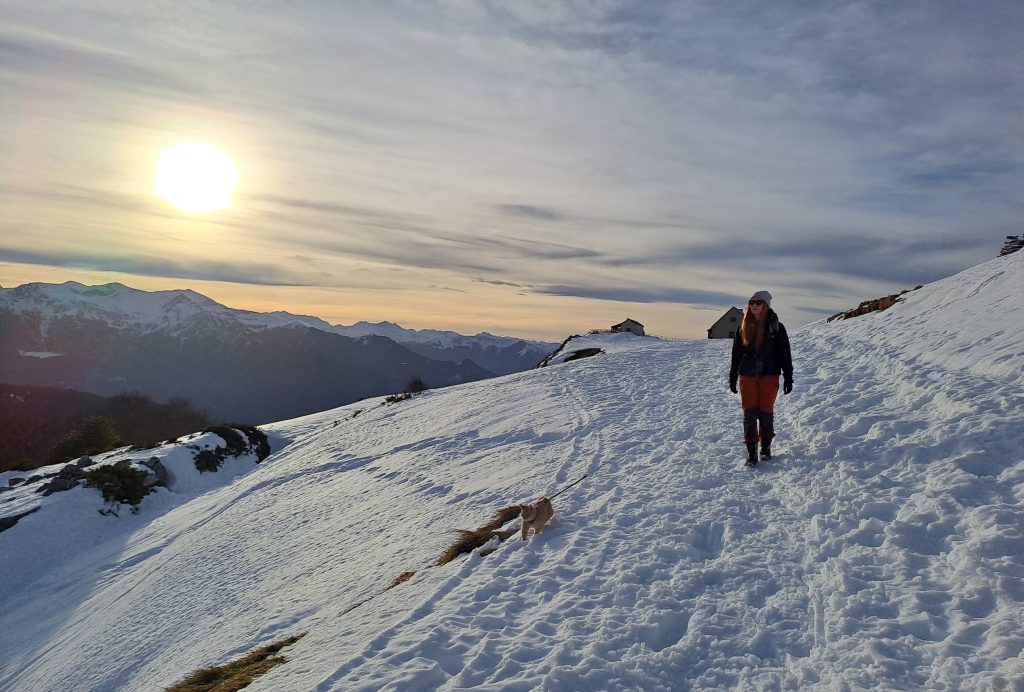Taukotuvat pyreneen vuoristossa