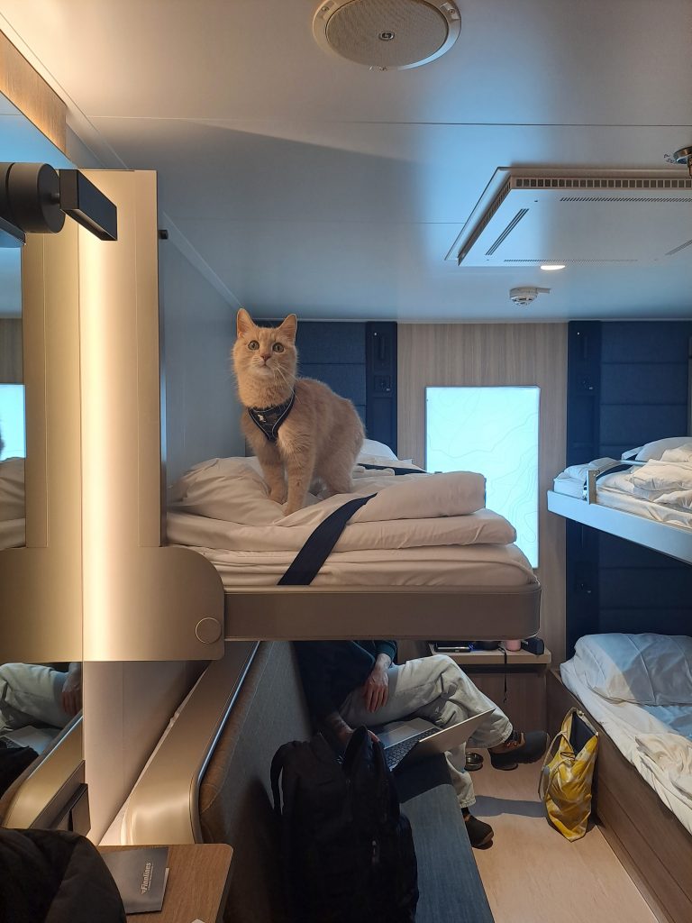 Lemmikit sallittu hytti